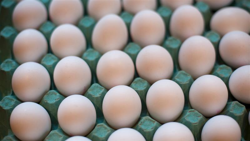 ΣΧΕΤΙΚΑ ΜΕ ΕΜΑΣ 